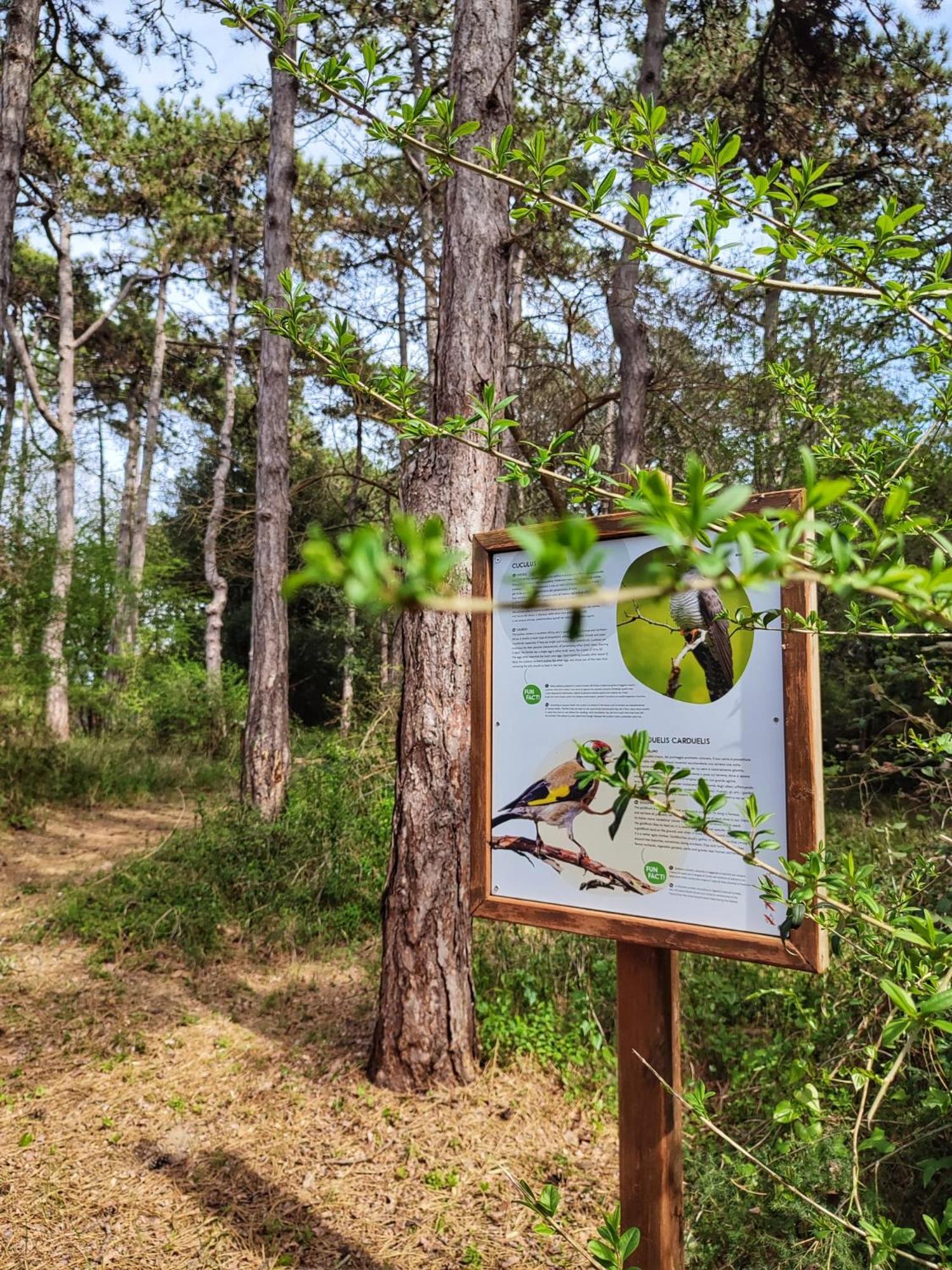 Green Village Eco Resort Lignano Sabbiadoro Dış mekan fotoğraf